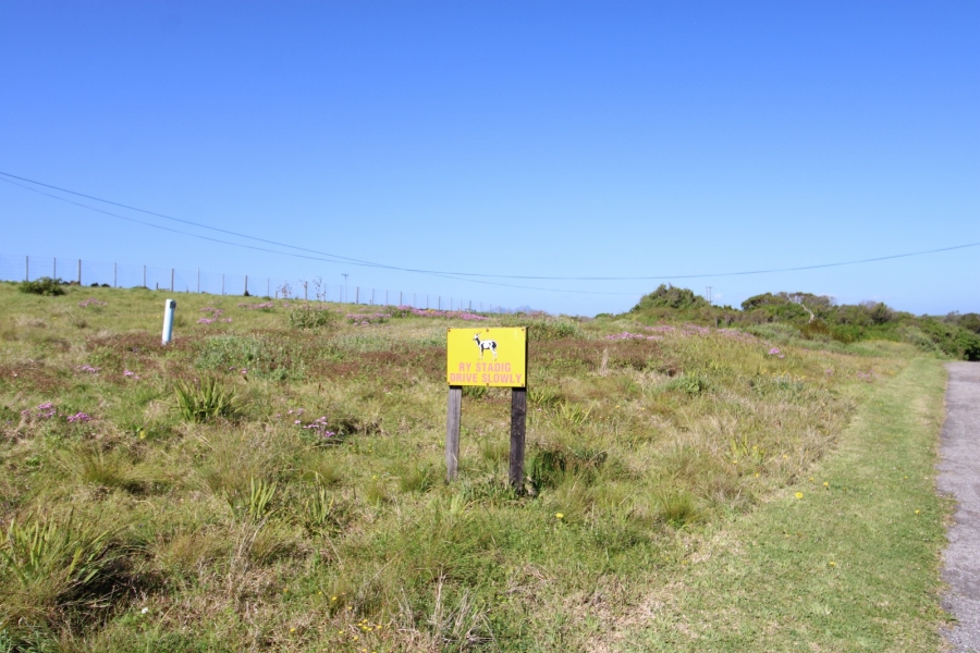 0 Bedroom Property for Sale in Eersterivierstrand Eastern Cape